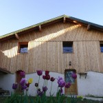 Façade du gîte - Tulipes - Gîte en lorraine pour 10 personnes