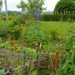 Le potager fleuri du jardin