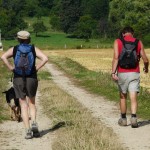 Promenons nous dans les bois