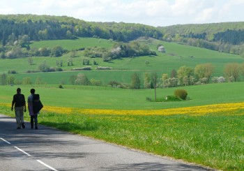 Loisirs autour du gîte