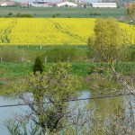 Vue sur la ferme de la Pouillotte à Bonzée