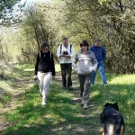 Randonnées pédestres dans les bois