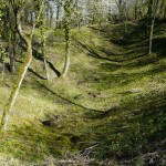 Les forêts marquées par la 1ère Guerre Mondiale en Meuse