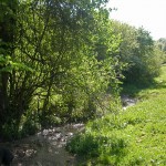 Paysage de la campagne meusienne