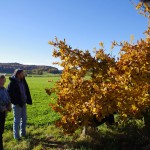 Départ pour les sentiers de randonnées dans les côtes de Meuse