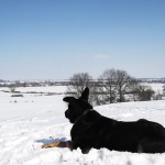 Les côtes de Meuse sous la neige