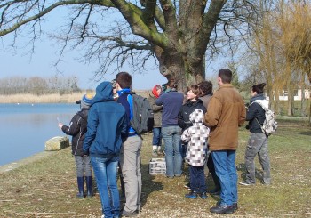 comptage des oiseaux d’eau à l’étang d’Herméville