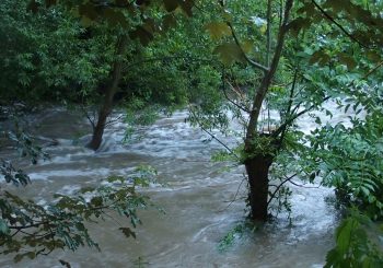 Le Longeau rivière 1° catégorie en folie